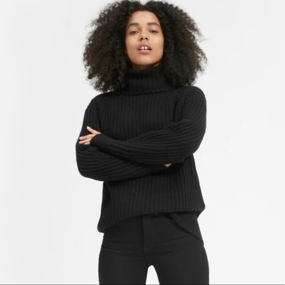 everlane Black The Italian Wool Turtleneck Sweater
